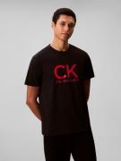 Calvin Klein T-shirt SS 30S EU CK CALVIN GRAPHIC TEE