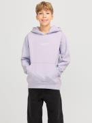 Jack & Jones Junior Hoodie JORVESTERBRO SWEAT HOOD NOOS JNR