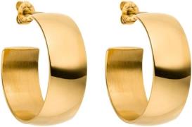 Purelei Paar oorstekers Sieraden cadeau Glowing oorbellen, 23171-Oorbe...