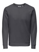 ONLY & SONS Sweatshirt ONSCHASE REG CREW SWEAT OTL