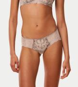 Triumph Hipster Sensual Spotlight