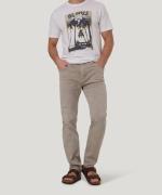 Pioneer Authentic Jeans Straight jeans Rando