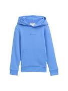 Tom Tailor Hoodie met capuchon en kangoeroezak