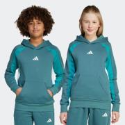 adidas Sportswear Hoodie J CB FL HD