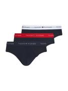 Tommy Hilfiger Underwear Slip 3P BRIEF DTM met elastische logo-band (3...
