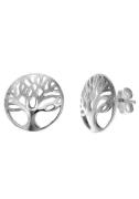 Firetti Oorstekers Sieraad cadeau zilver 925 oorbellen levensboom