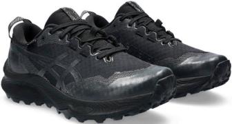 Asics Trailrunningschoenen GEL-TRABUCO 12 Gore-Tex