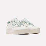 Reebok Classic Sneakers REEBOK COURT ADVANCE SURGE