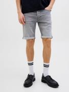 Jack & Jones Short JJIRICK JJICON I.K. SHORTS GE 063 SN