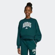 adidas Sportswear Sweatshirt JG CLGT FT SWT