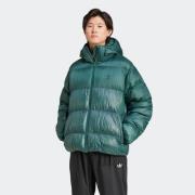 adidas Originals Outdoorjack DOWN REGEN ADIC