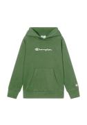 Champion Hoodie (1-delig)
