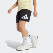adidas Sportswear Short J BL KN SH 210 (1-delig)