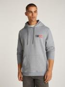 Tommy Jeans Plus Hoodie TJM REG ENTRY GRAPHIC HOODIE EXT in grote mate...