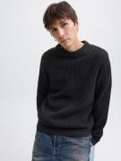 Jack & Jones Gebreide trui JJEDOVER KNIT CREW NECK SN