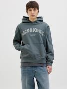 Jack & Jones Hoodie JORALMERIA SWEAT HOOD