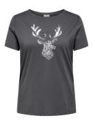 ONLY CARMAKOMA Shirt met korte mouwen CARULRIKA S/S REG TEE JRS