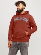 Jack & Jones PlusSize Hoodie JJECALEB VARSITY SWEAT HOOD NOOS PLS