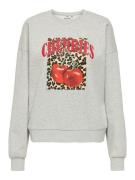 Only Sweatshirt ONLJOLANA L/S O-NECK BERRY PRINT CS SWT
