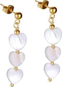 Firetti Paar oorhangers Sieraden cadeau roestvrijstalen oorjuwelen oor...