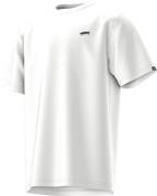 Vans T-shirt BSALTONSS