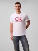 Calvin Klein T-shirt SS 30S EU CK CALVIN GRAPHIC TEE