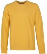 Colorful Standard Sweater Geel