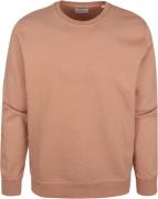 Colorful Standard Sweater Organic Bruin