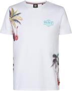 Petrol T-Shirt Islandcrest Print Wit