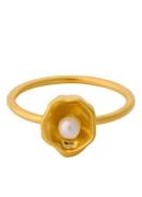 Pernille Corydon Hidden Pearl ring verguld