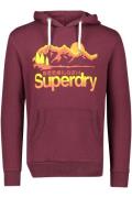 Superdry sweater bordeaux effen katoen