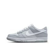 Nike Dunk low two toned grey (gs)