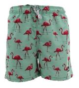 Legend Sports Legend zwembroek, pro sport short flamingo