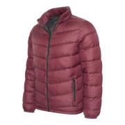 Cappuccino Italia Winter jacket burgundy