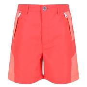 Regatta Sorcer ii bergshorts voor kinderen/kinderen