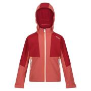 Regatta Kinder/kids haydenbury soft shell jas