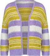 Tramontana Cardigan colour