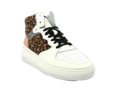 Rehab Tyra leopard 0700