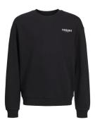 Jack & Jones Jjstyd loose graphic sweat c.neck l