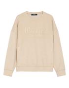 MaxMara Sweaters laghi