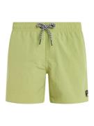 Protest culture jr beachshort -