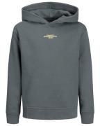 Jack & Jones Hoodie 12267481