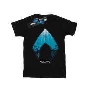 DC Comics Heren aquaman oceaan logo t-shirt