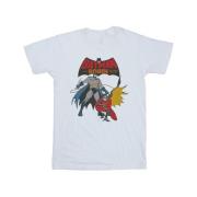 DC Comics Heren batman en robin t-shirt