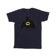 DC Comics Heren batman schaduwverf t-shirt