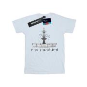 Friends Heren fontein schets t-shirt