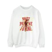 DC Comics Dames the flash past present future sweatshirt