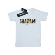 DC Comics Dames shazam tekst logo katoenen vriendje t-shirt