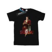 DC Comics Heren shazam bubble gum t-shirt