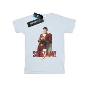 DC Comics Heren shazam bubble gum t-shirt